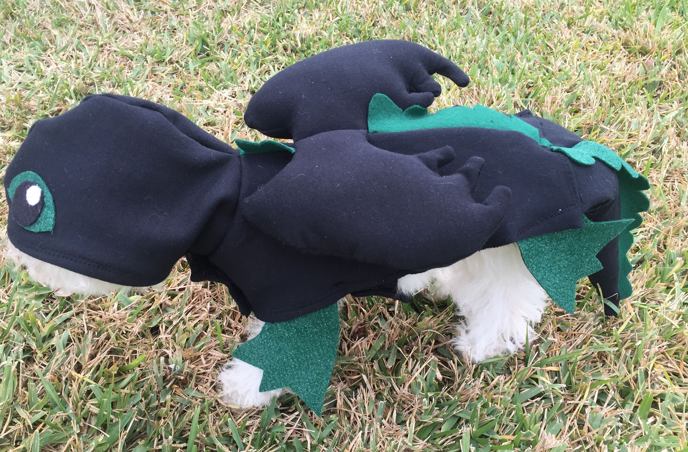 Dragon Dog Costume 7 Steps (with Pictures) Instructables