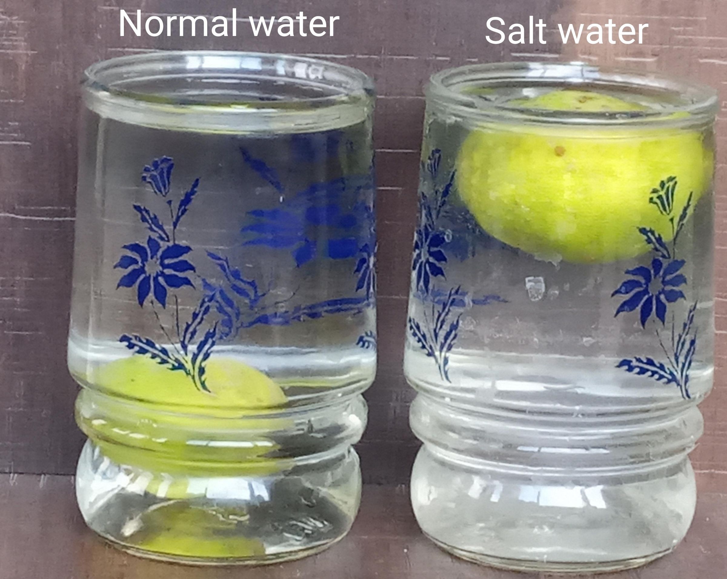 Lemon and Salt Wonders : 27 Steps (with Pictures) - Instructables