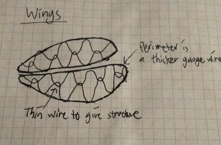 Build a Realistic Insect From Wire : 5 Steps (with Pictures ...