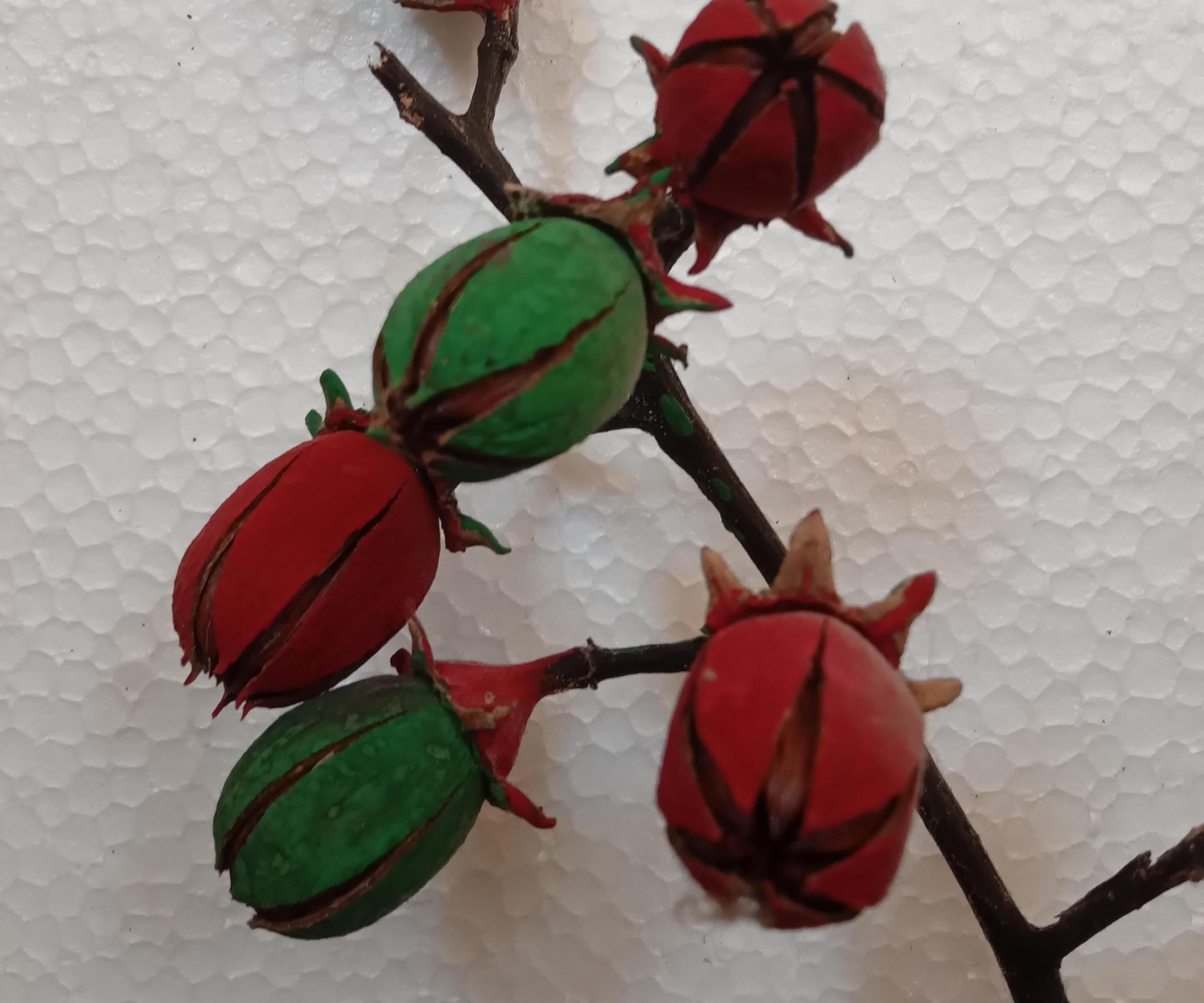 Flower Bouquet From Tamhan Fruits.