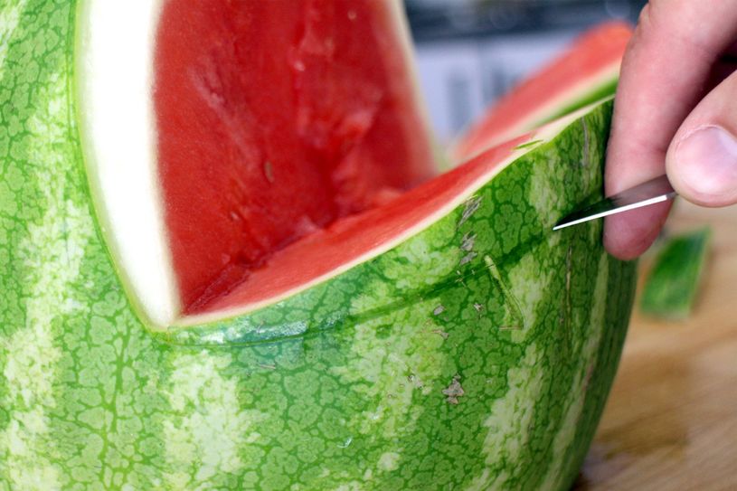 Watermelon Shark : 13 Steps (with Pictures) - Instructables