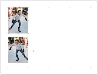 Copy and Reverse Photo
