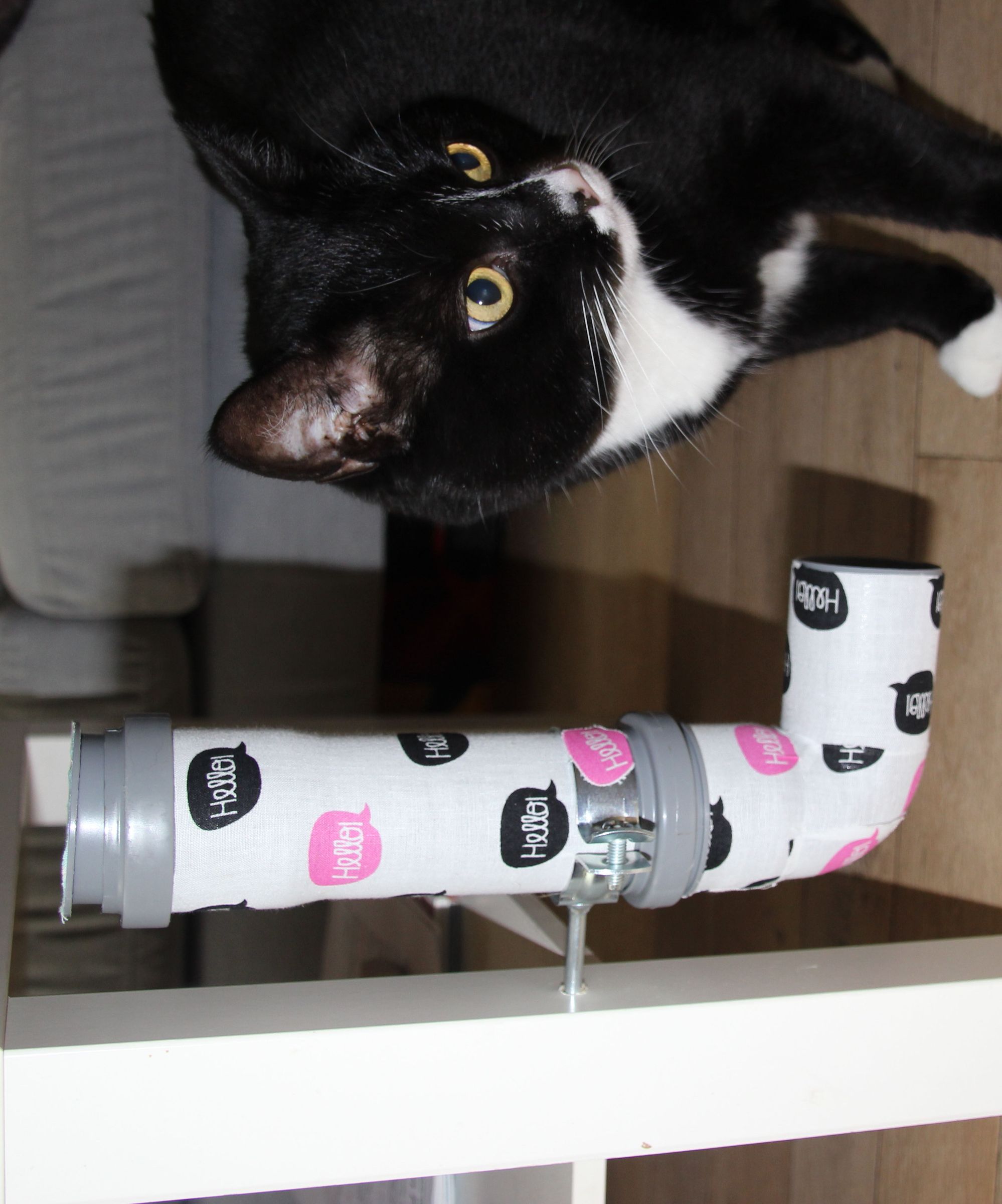 Simple Convertible Catnip Cat-Toy