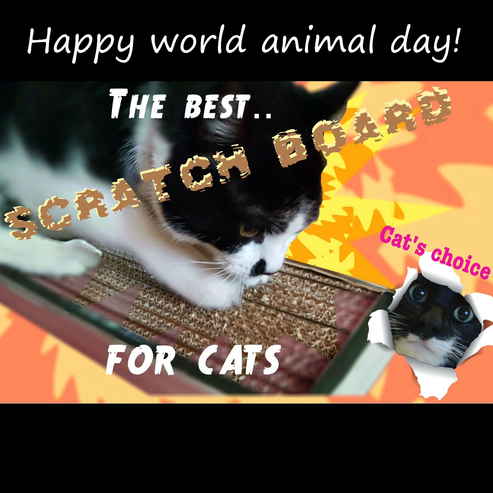 The Best Scratch Board for Cats 4 Steps (with Pictures) Instructables