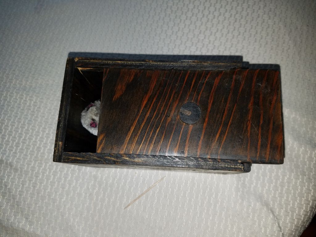 Spider Box : 11 Steps (with Pictures) - Instructables