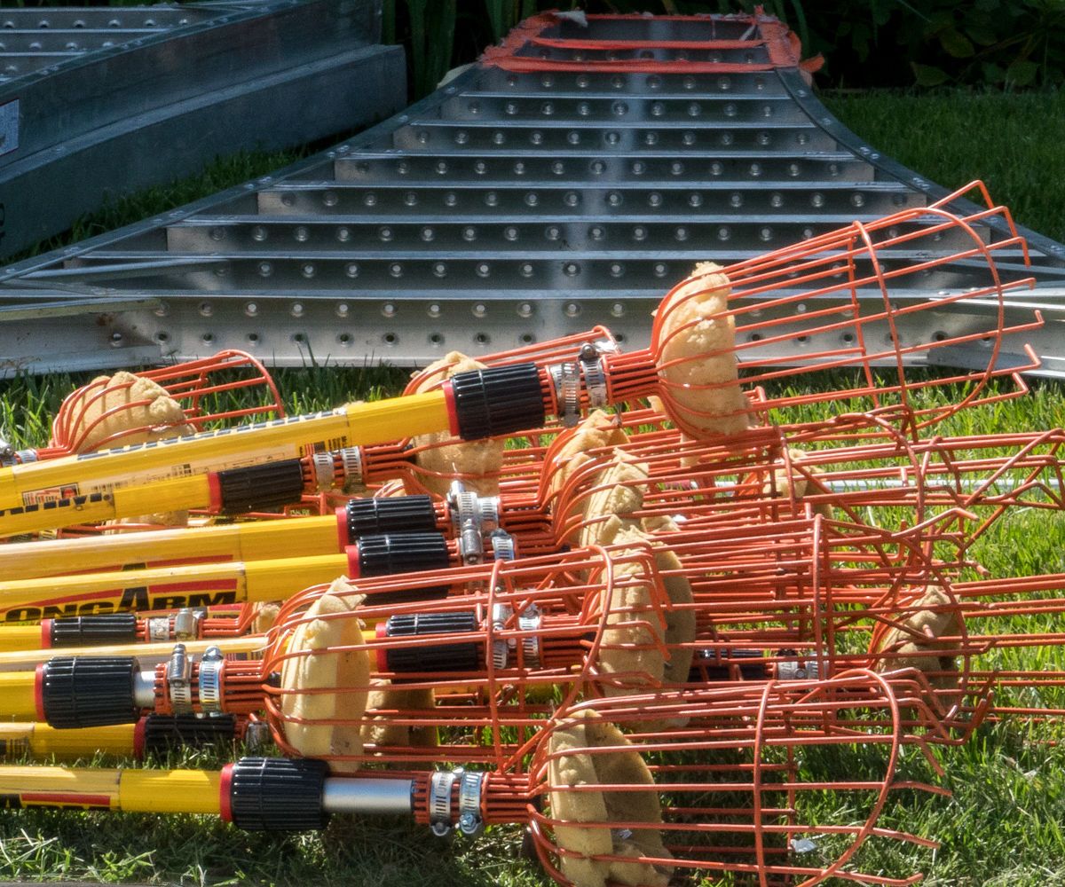 Low Cost and Easy to Make Fruit Picking Pole 