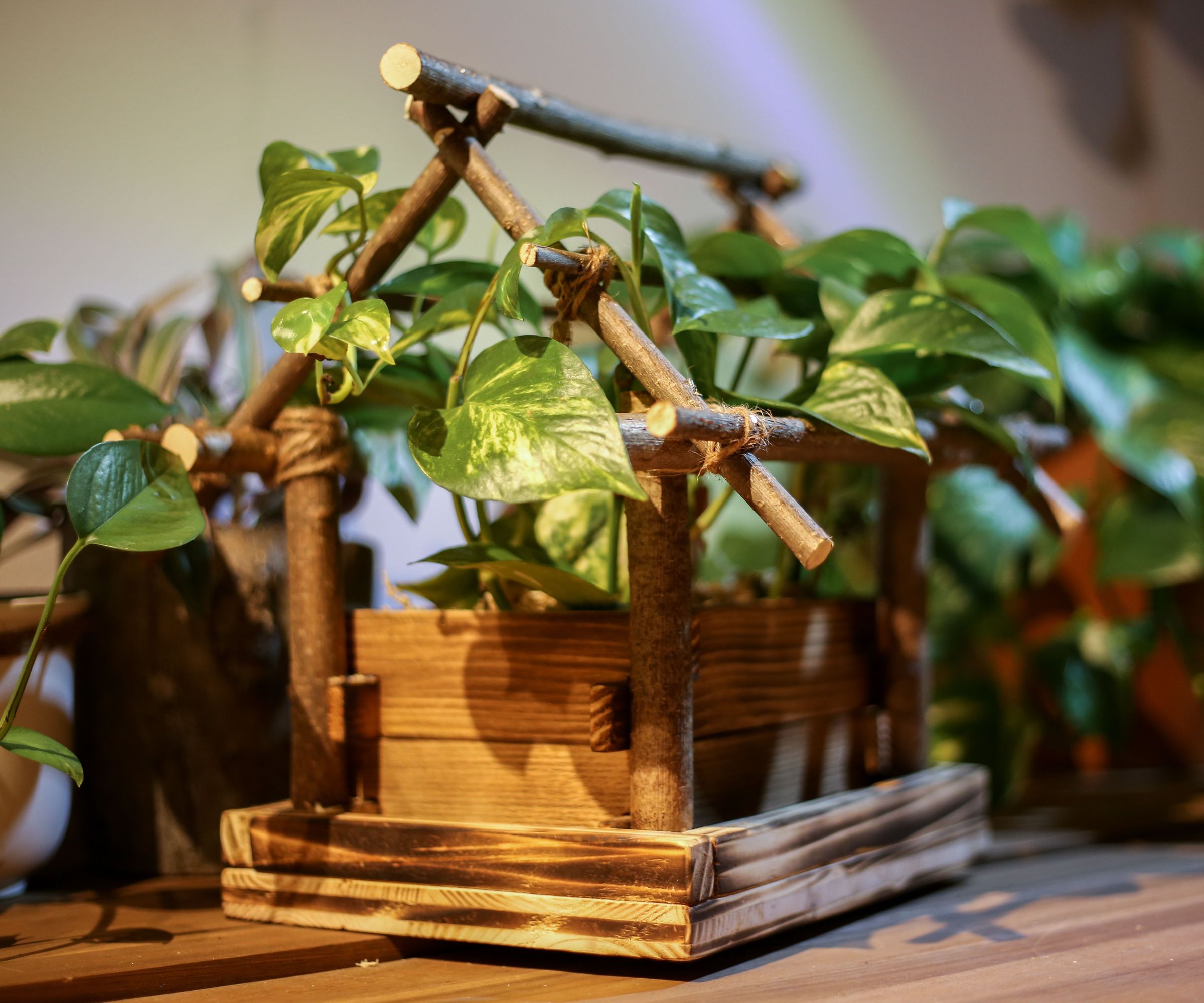 Wooden Bird House Plant Pot (with Tinkercad Version)