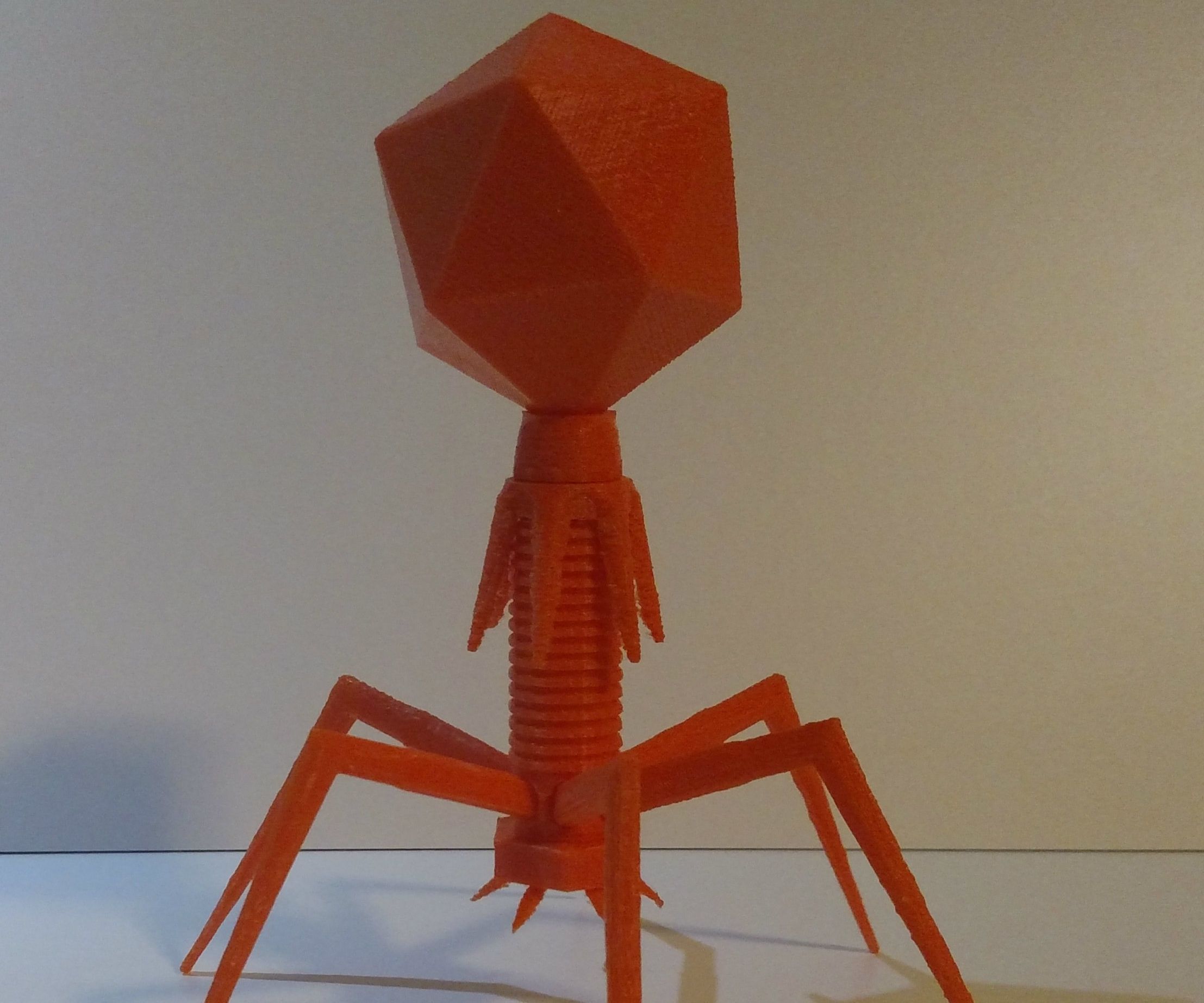3D Printable Phage (A Guide to Modeling for FDM Printers)