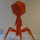 3D Printable Phage (A Guide to Modeling for FDM Printers)