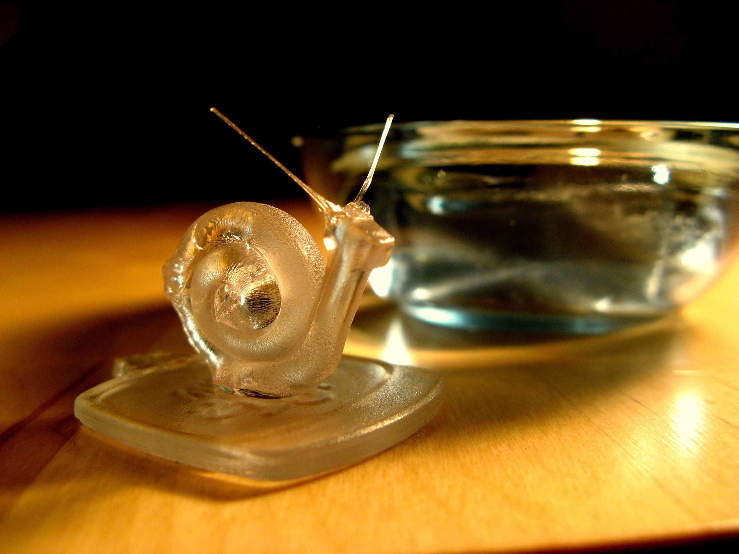 How to Make a Cocktail Stirrer Snail