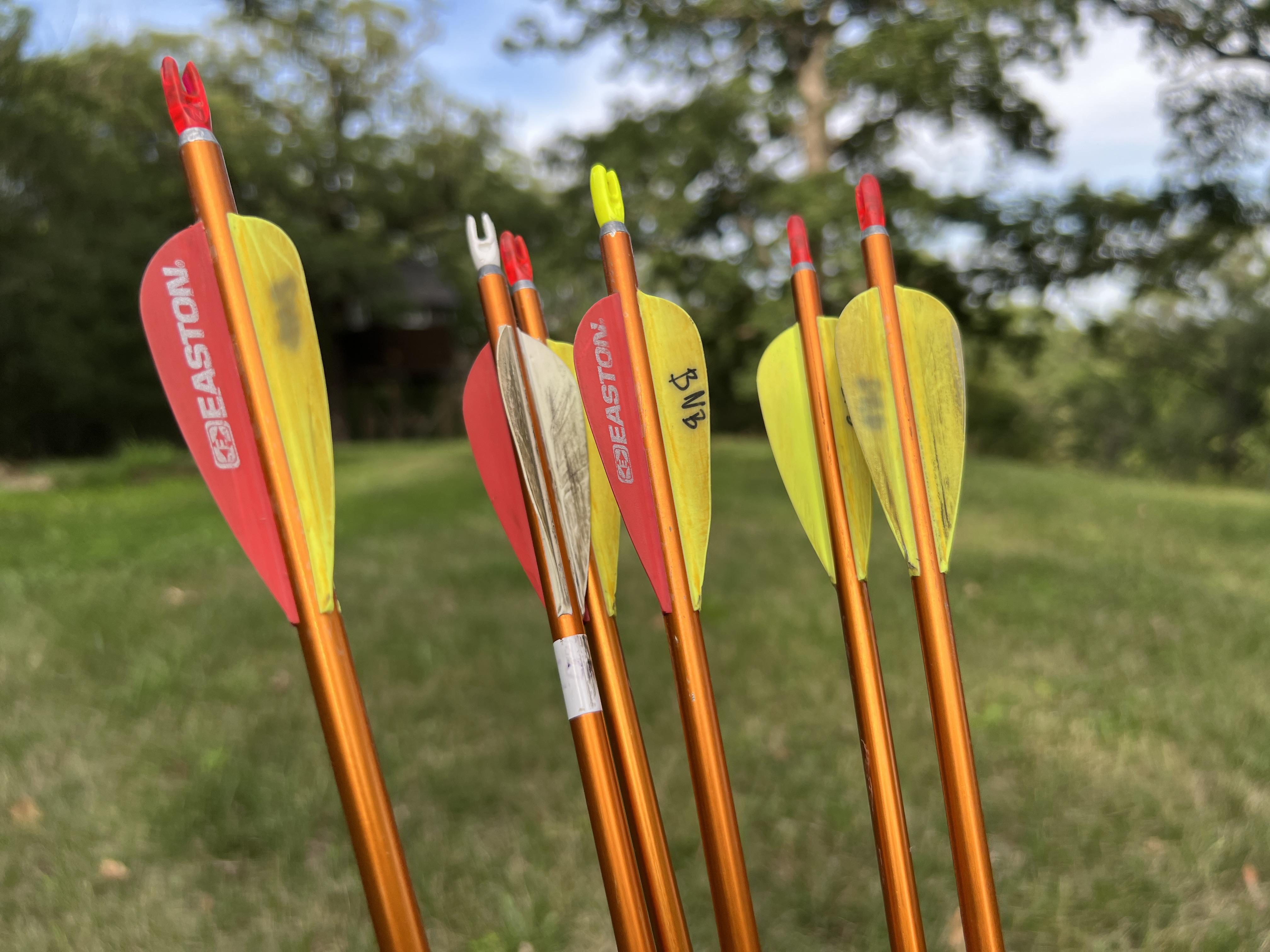 How to Shoot a Genesis Bow and Set Up a Safe Practice Range. 12 Steps