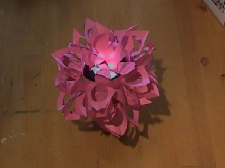 Paper Flower Night Lamp .