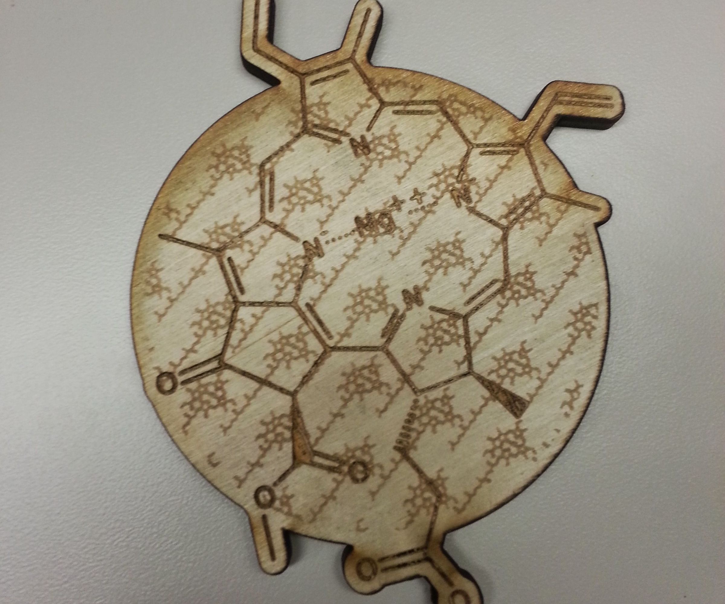 Design and Laser Cut Coasters (includes Chlorophyll Coaster Vector File)