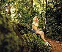 How to Enjoy Nature and Wildlife in Mackay