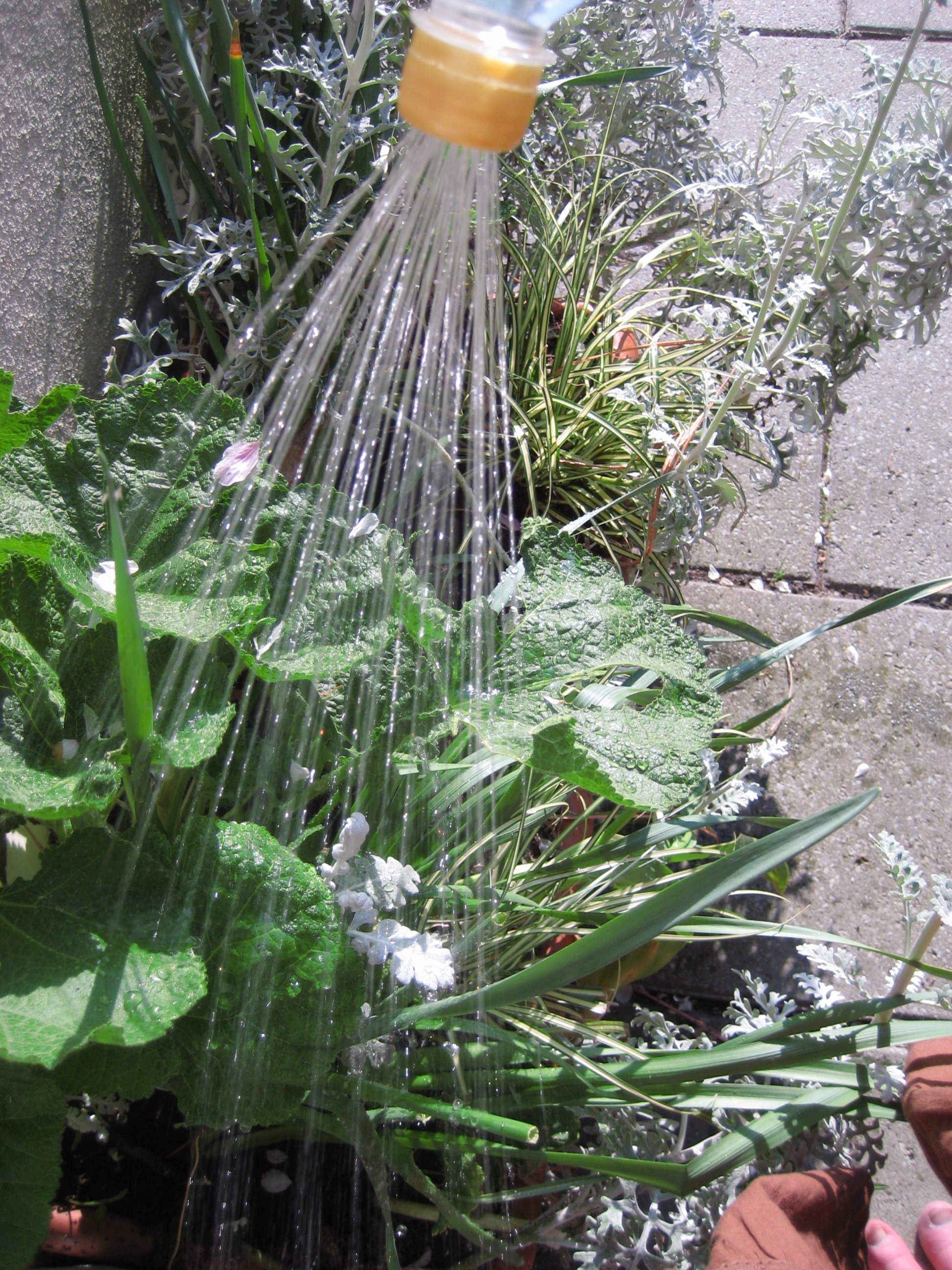 Water Bottle Sprinkler Cap Instructables