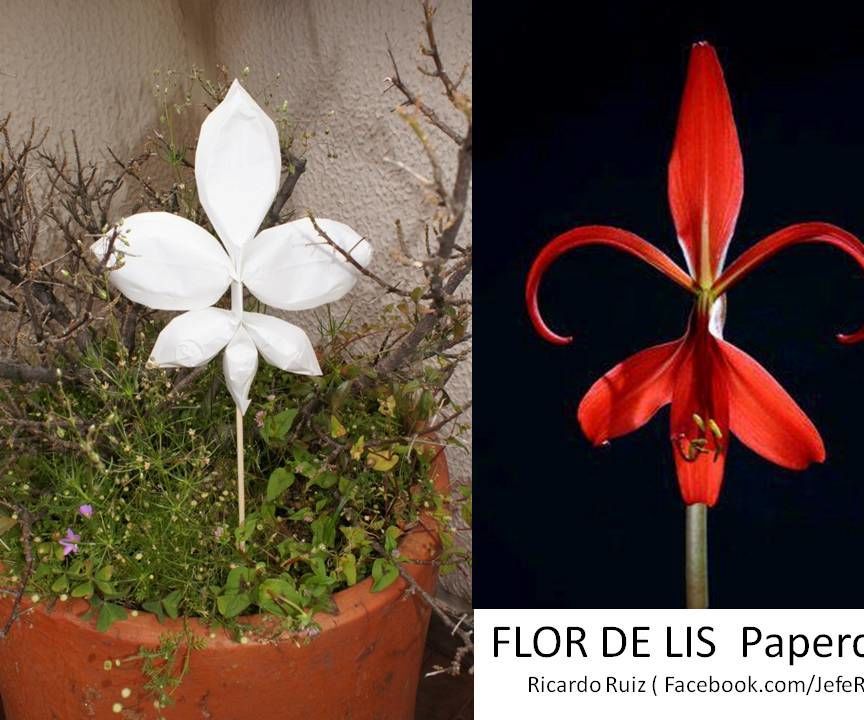 Flor De Lis - Papercraft