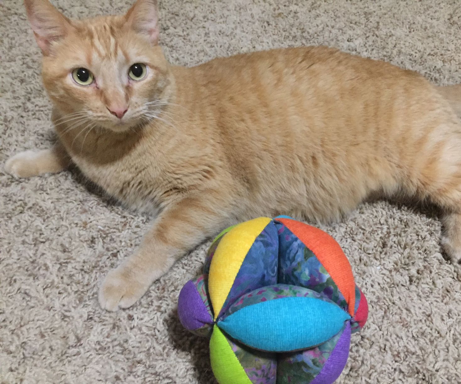 Amish Segment Ball