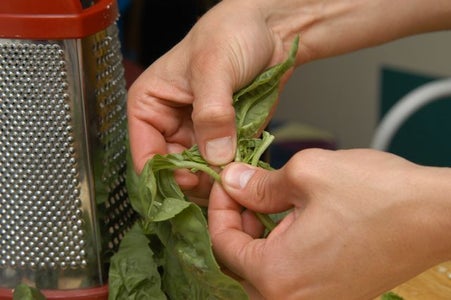 Basil Prep