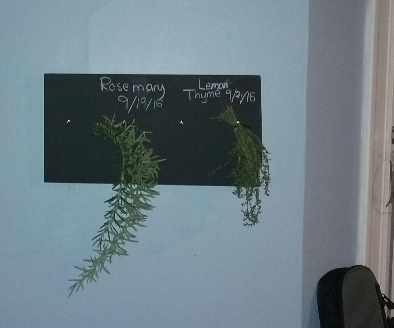 Chalkboard Herb Drying Rack