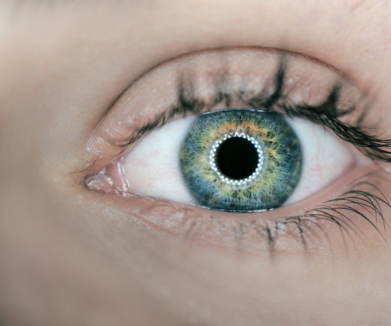 Eye Tracker for the Disabled