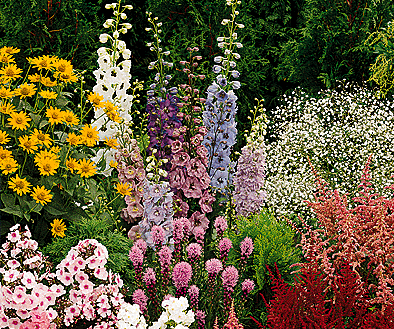 How to Make a Flower Garden