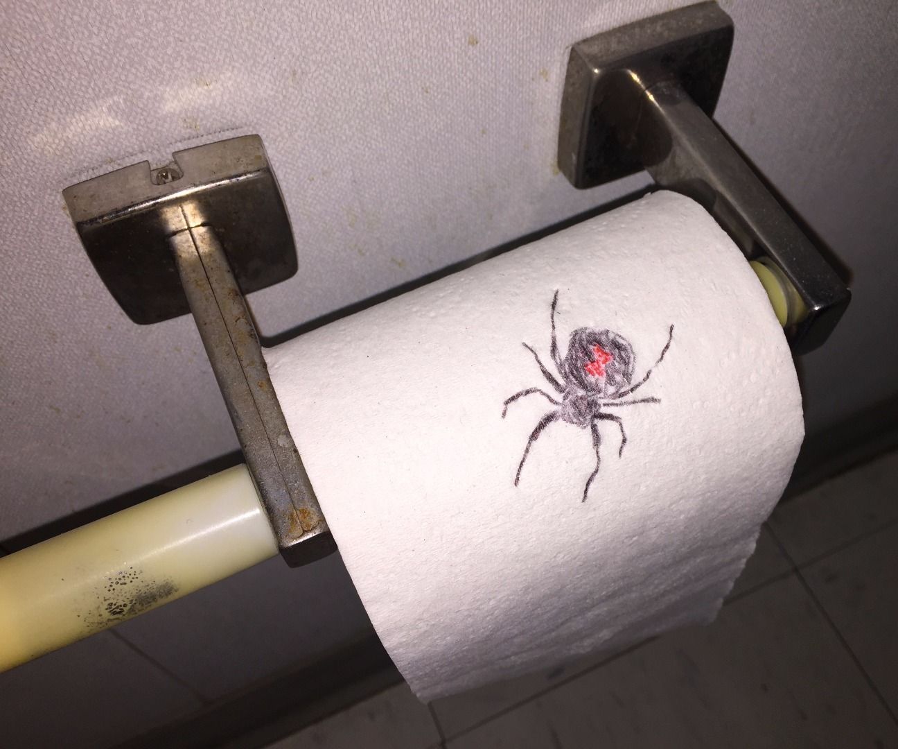 Spider on Toilet Paper Prank