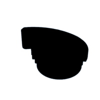 download {{ file.name }}