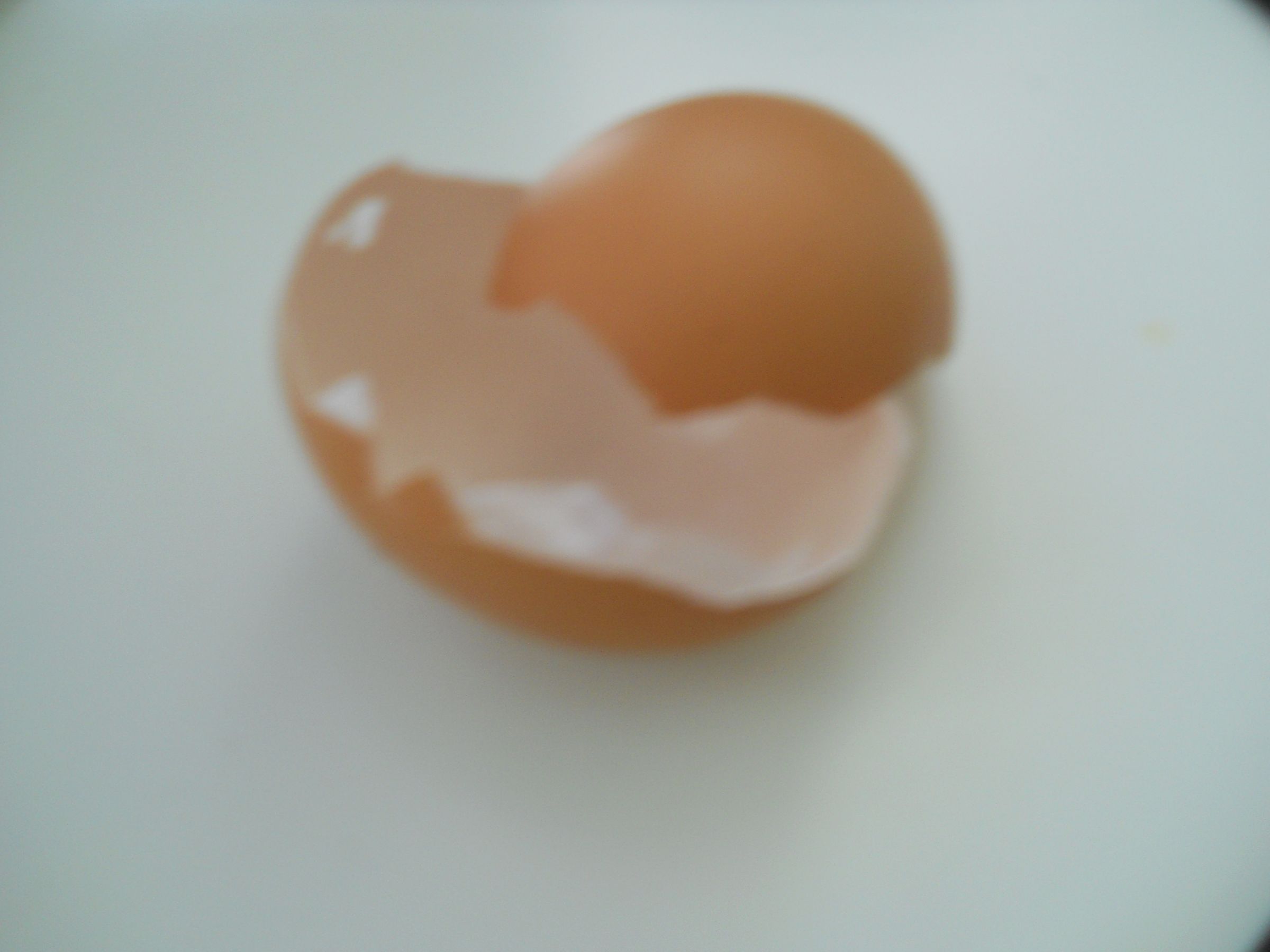 What to Do With Eggshells?