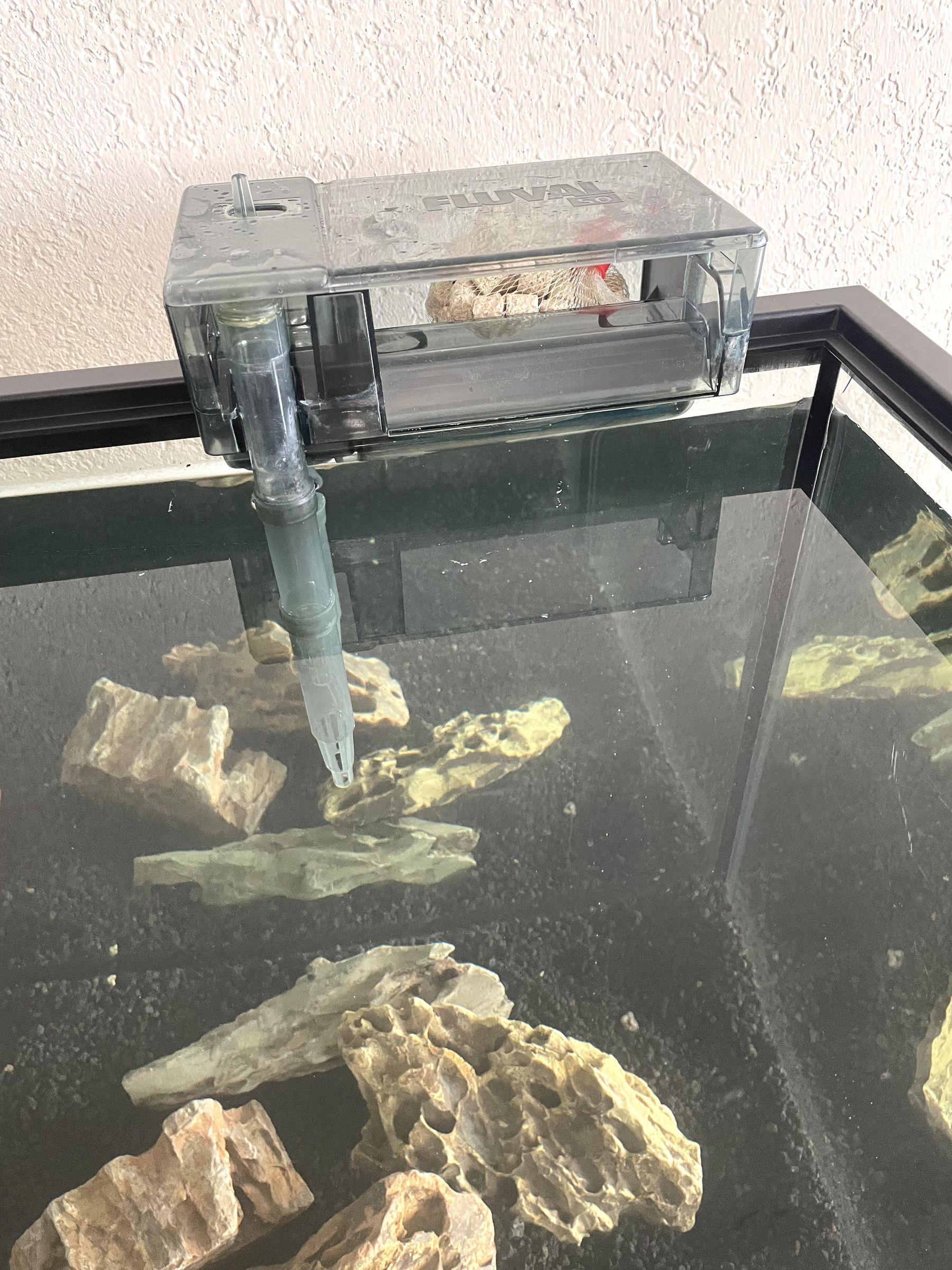How to Set Up a Tropical Aquarium 11 Steps (with Pictures
