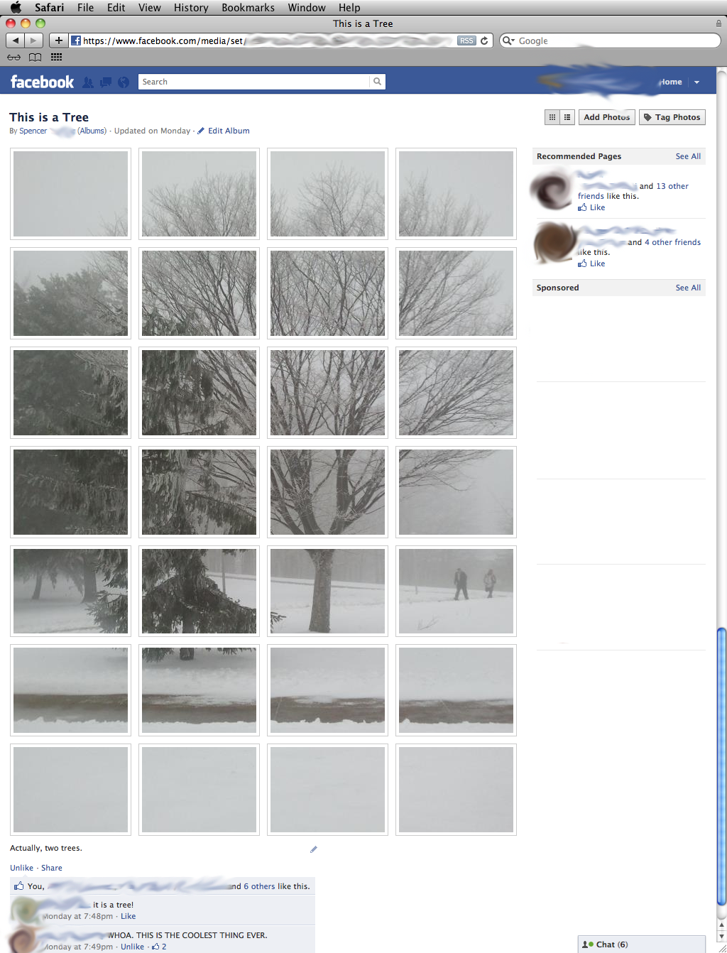 Facebook photoalbum to giant photo conversion.