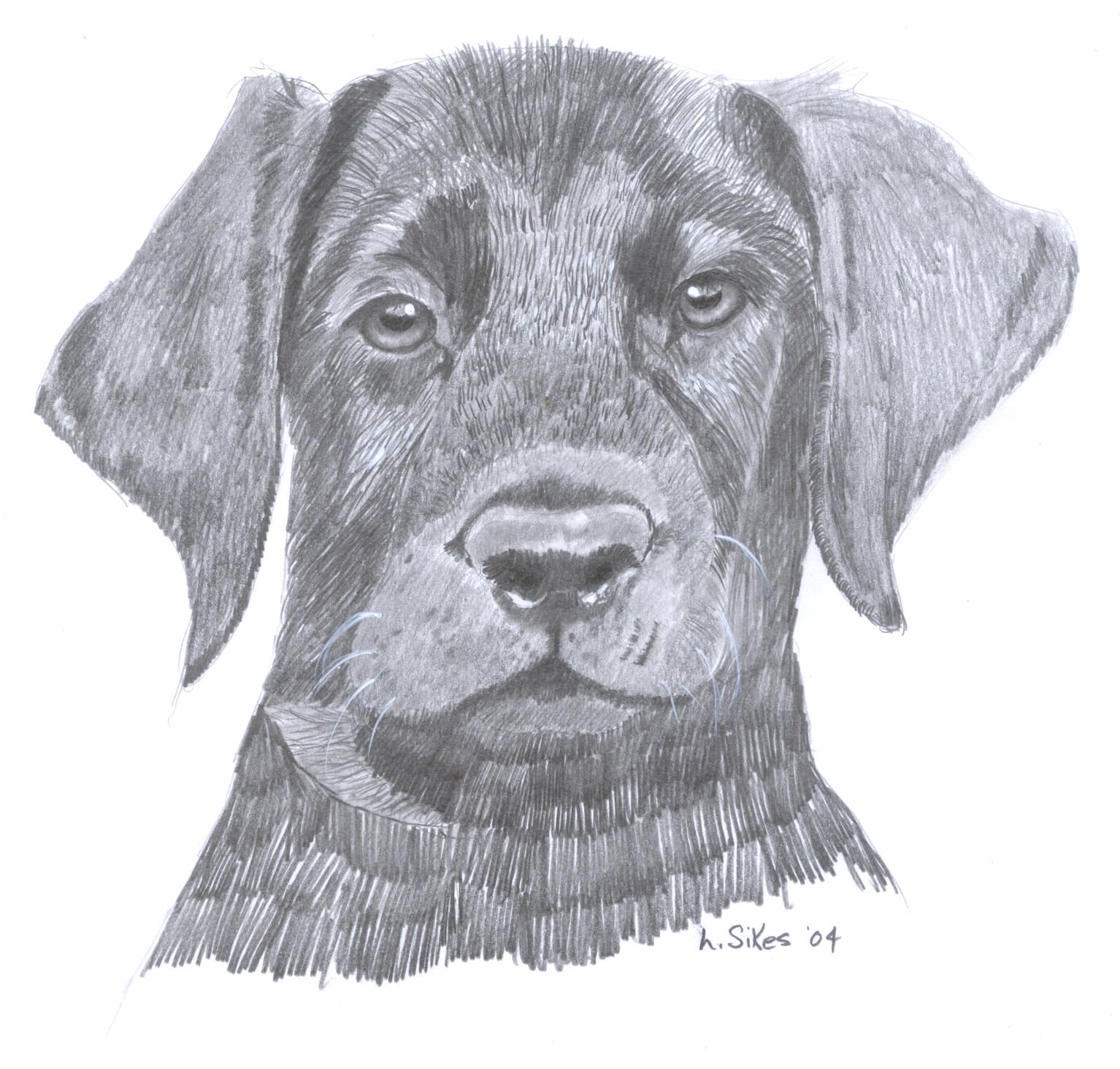 How to Paint, Draw, Color and Otherwise DO ART!