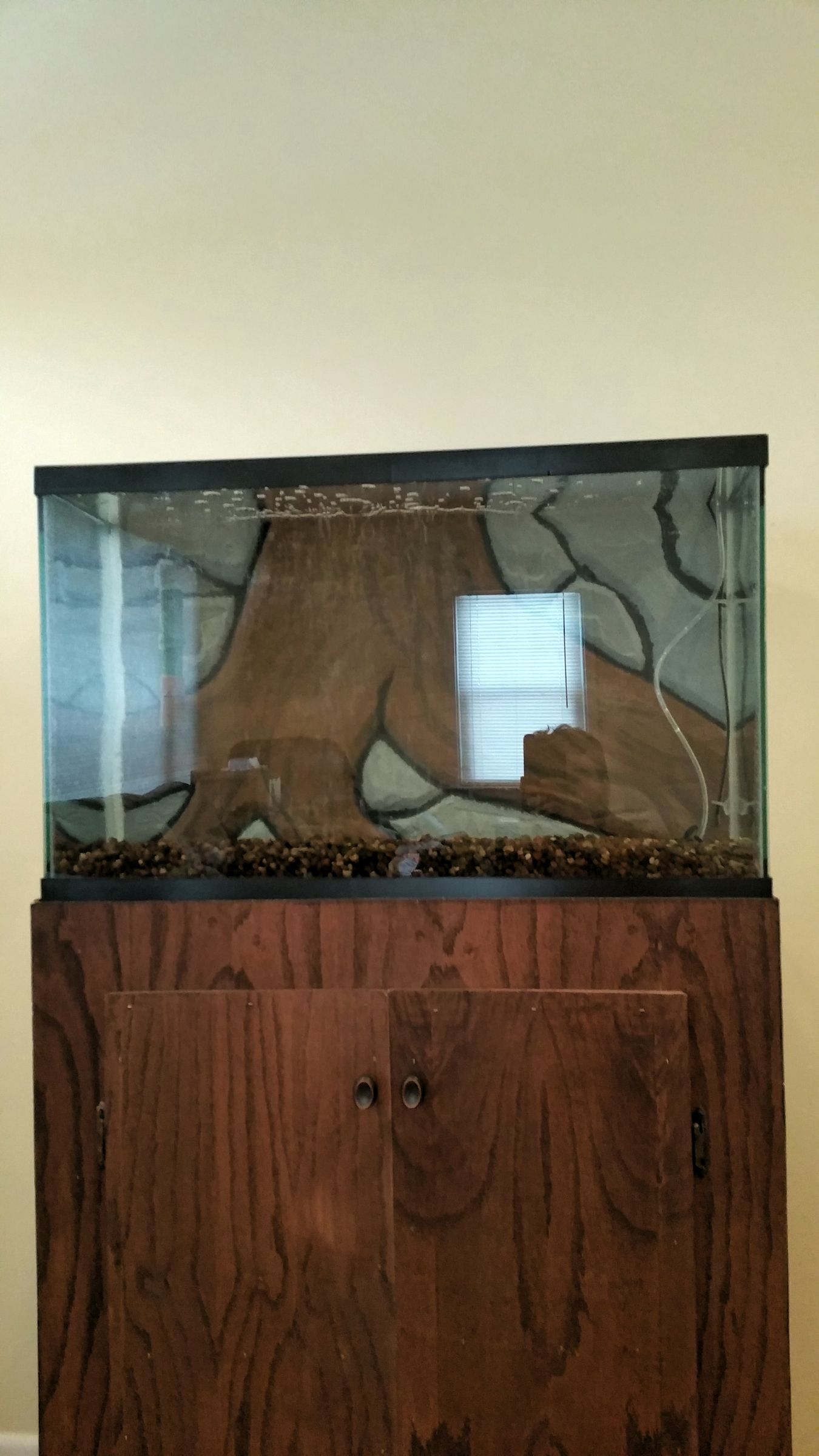 Aquarium Background 