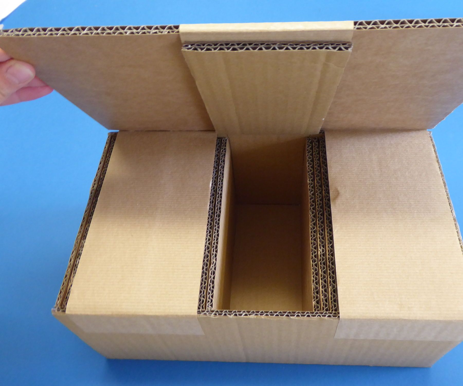 The Magic Chicken Cardboard Box
