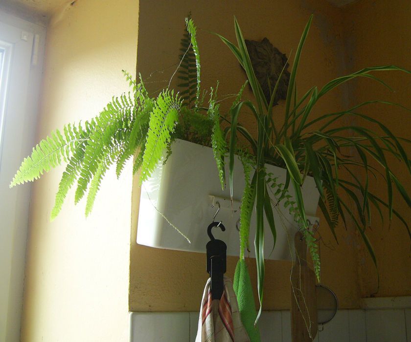 Ikea Hack : Variera Planter