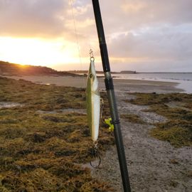 3D Printed Topwater Fishing Lure : 12 Steps (with Pictures) - Instructables