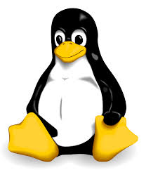 Installing Linux From USB