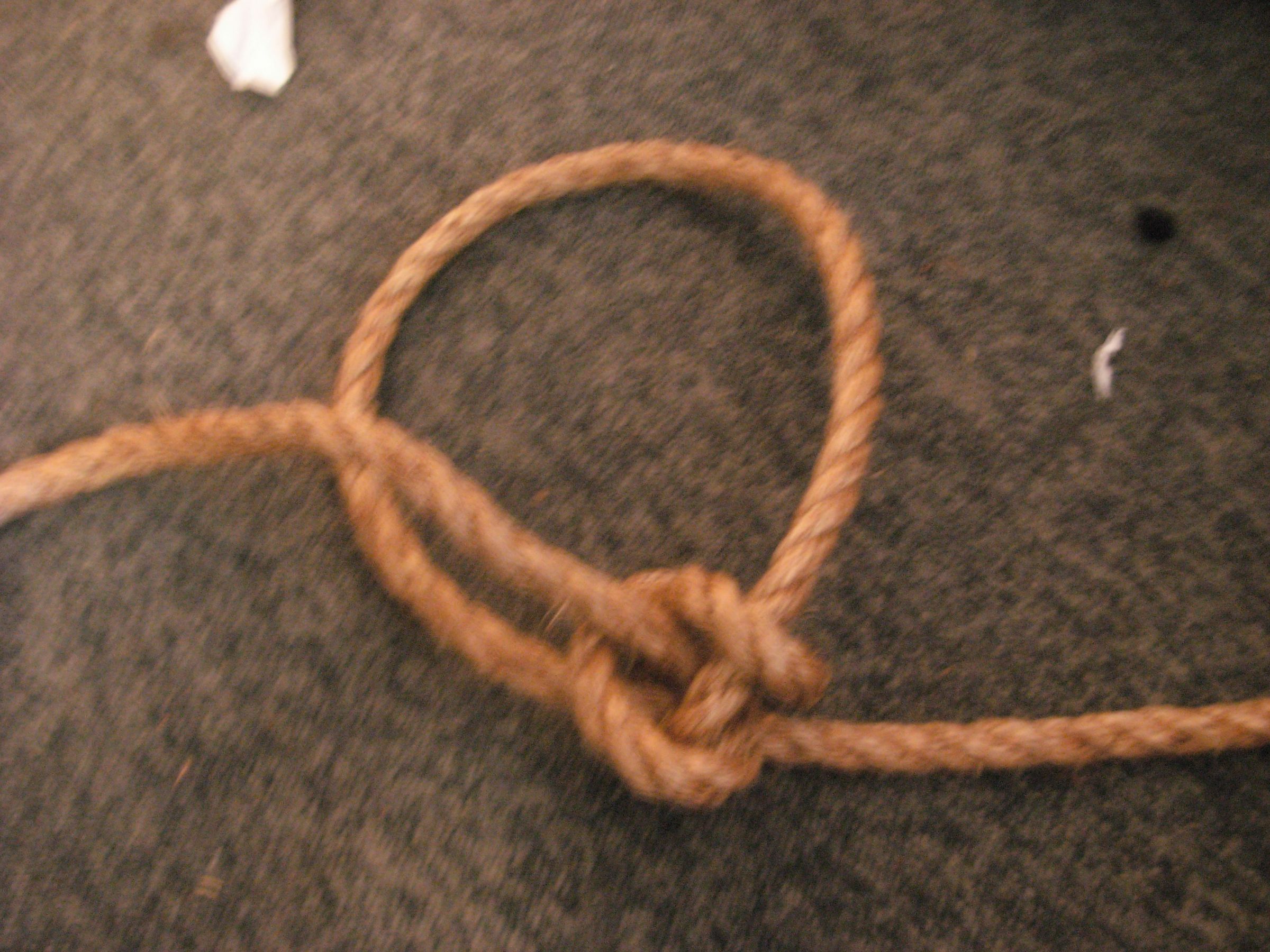 How to Make a Rope Swing 9 Steps Instructables