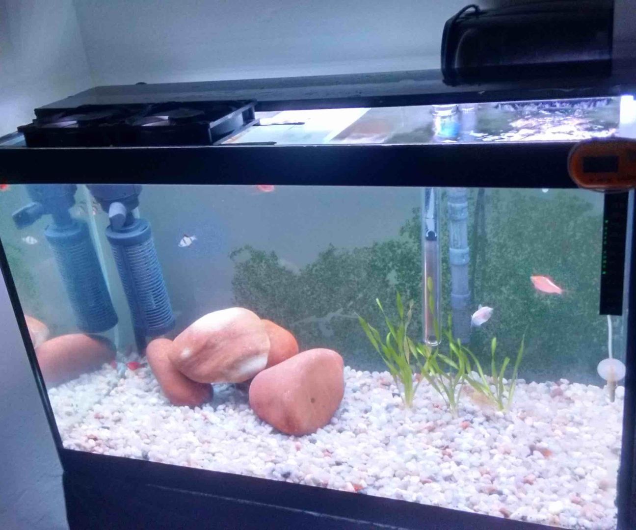 Aquarium LED Lighting