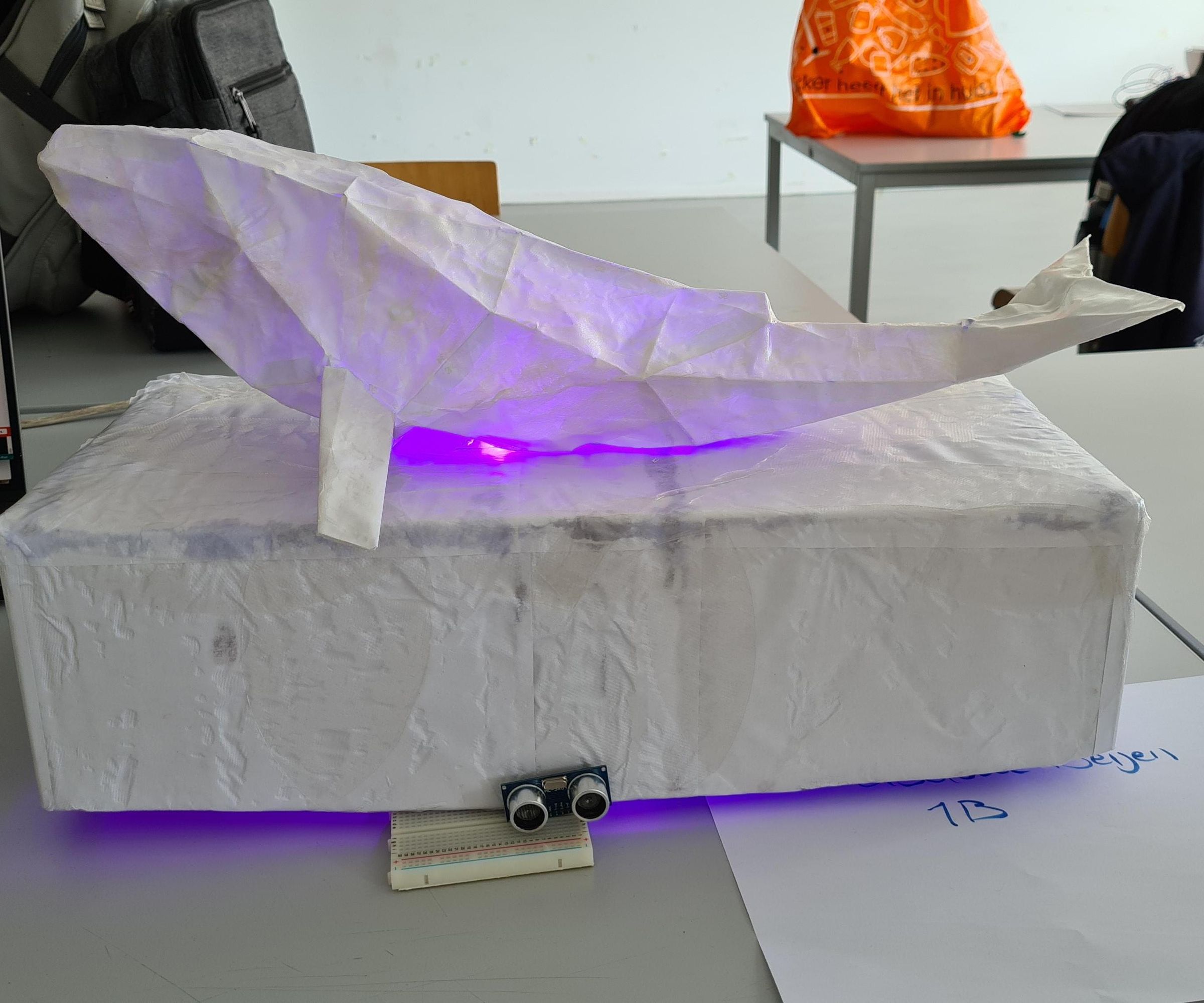 RiceSheet Whale