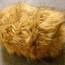 Tribble Calculator