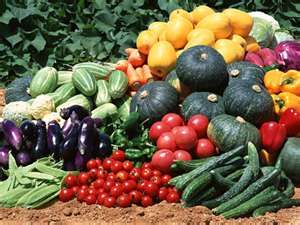 How to Grow Vegetable Plants!