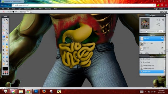 Stomach + Intestines
