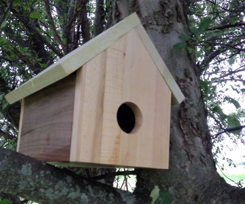 Birdhouse