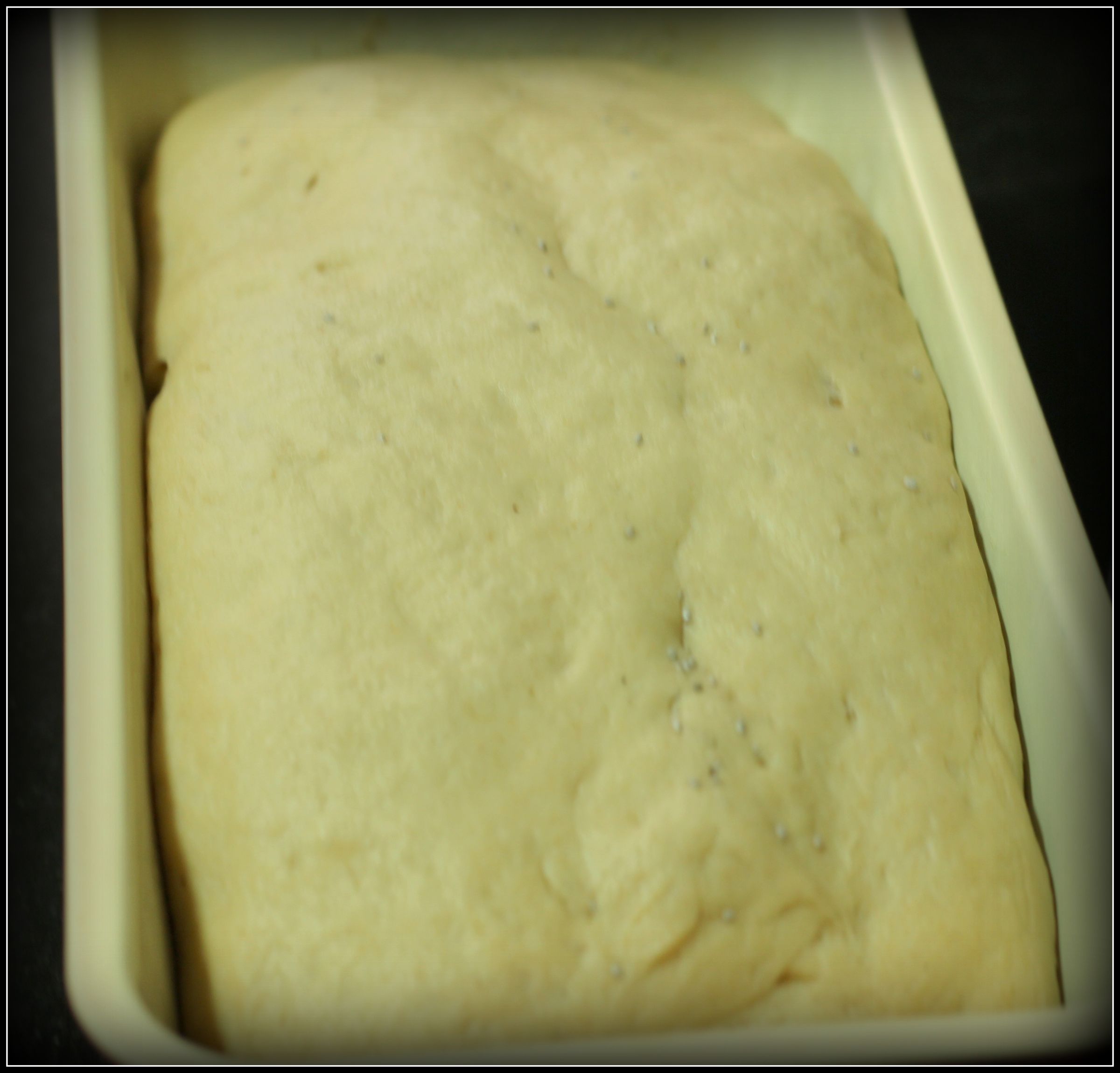 Brown Bread Baked in Convection Oven 5 Steps (with Pictures