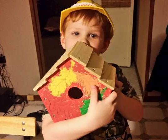 Build and Paint a Birdhouse