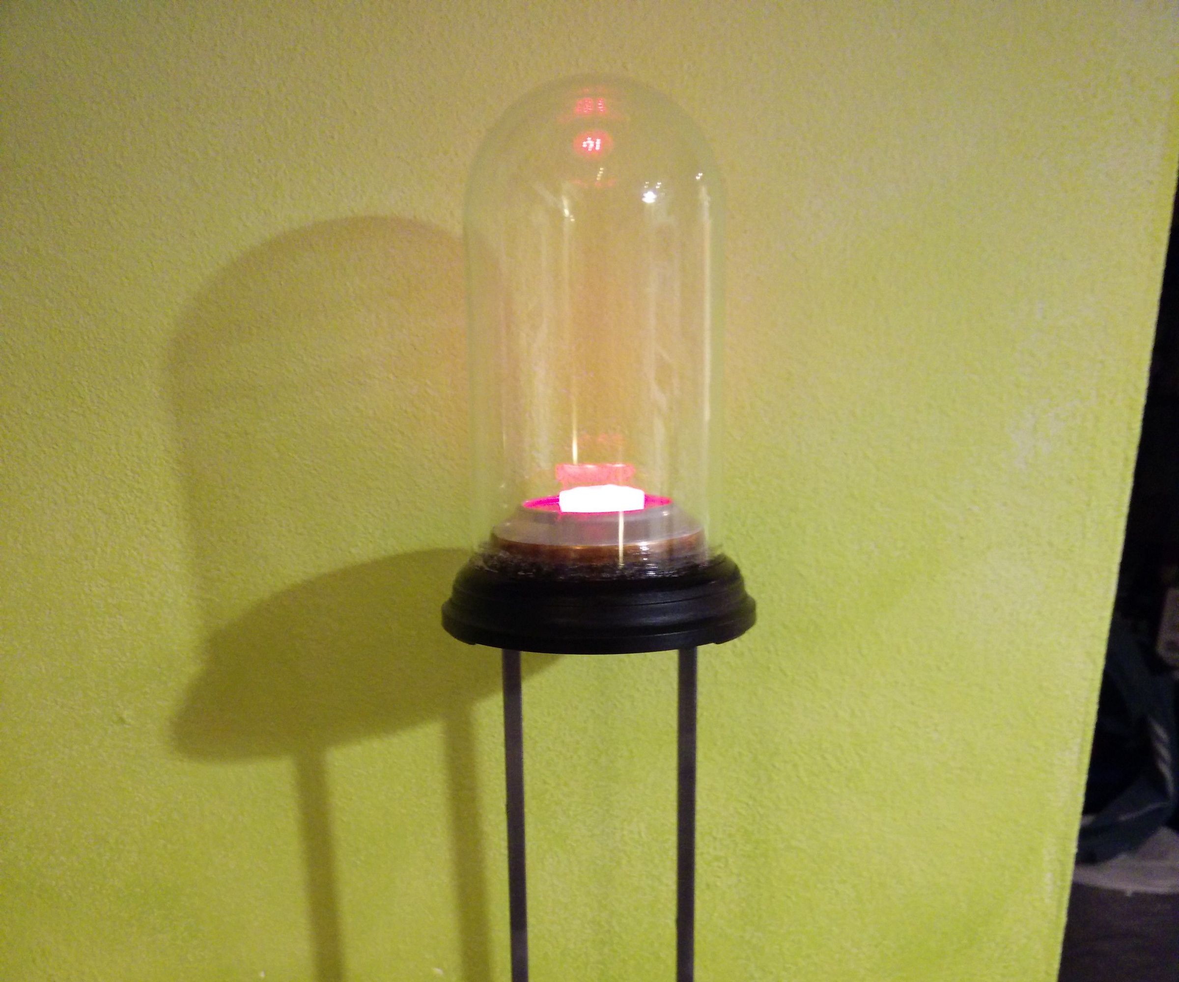 LED Trophy