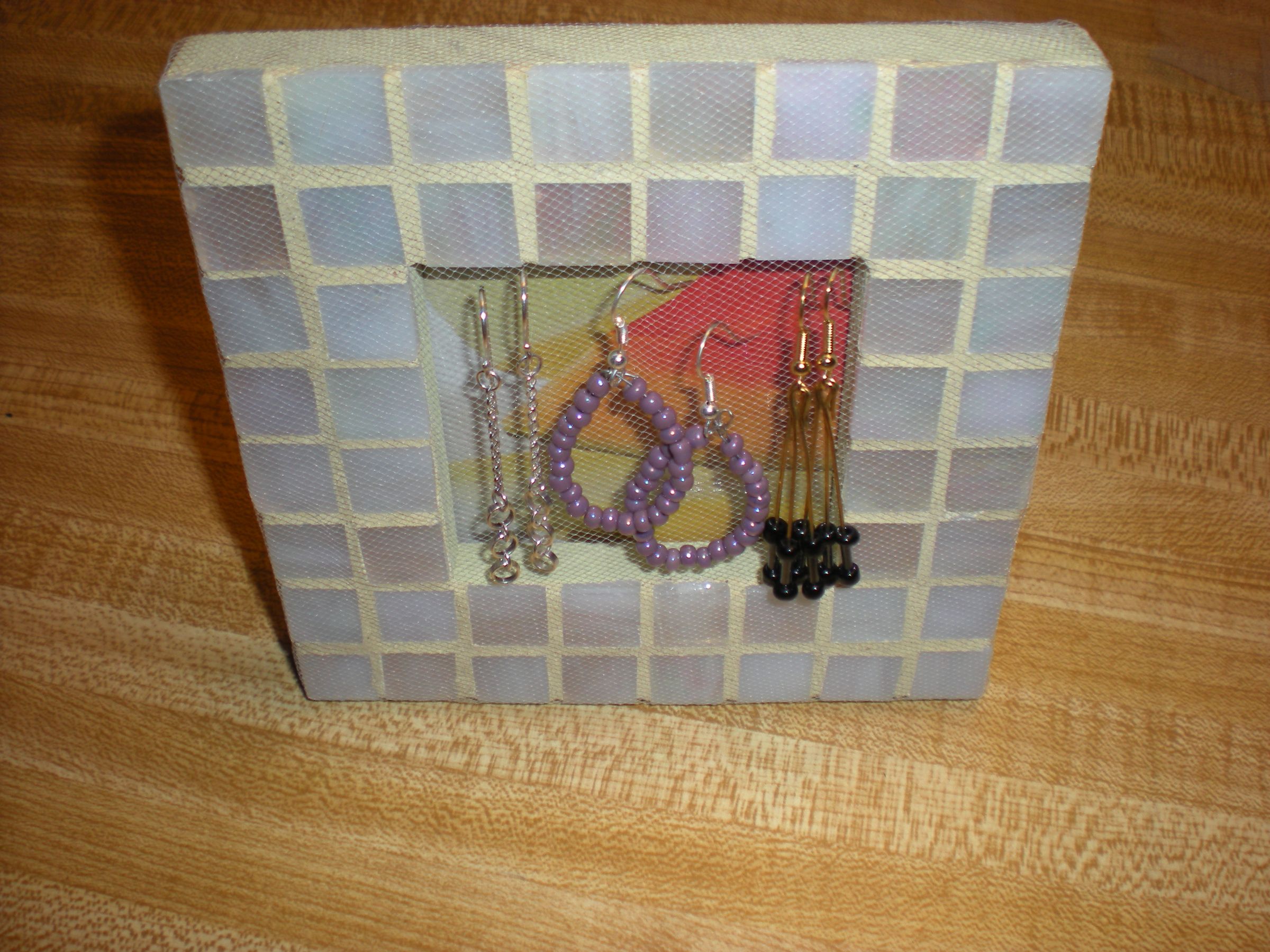 Earring Organizer