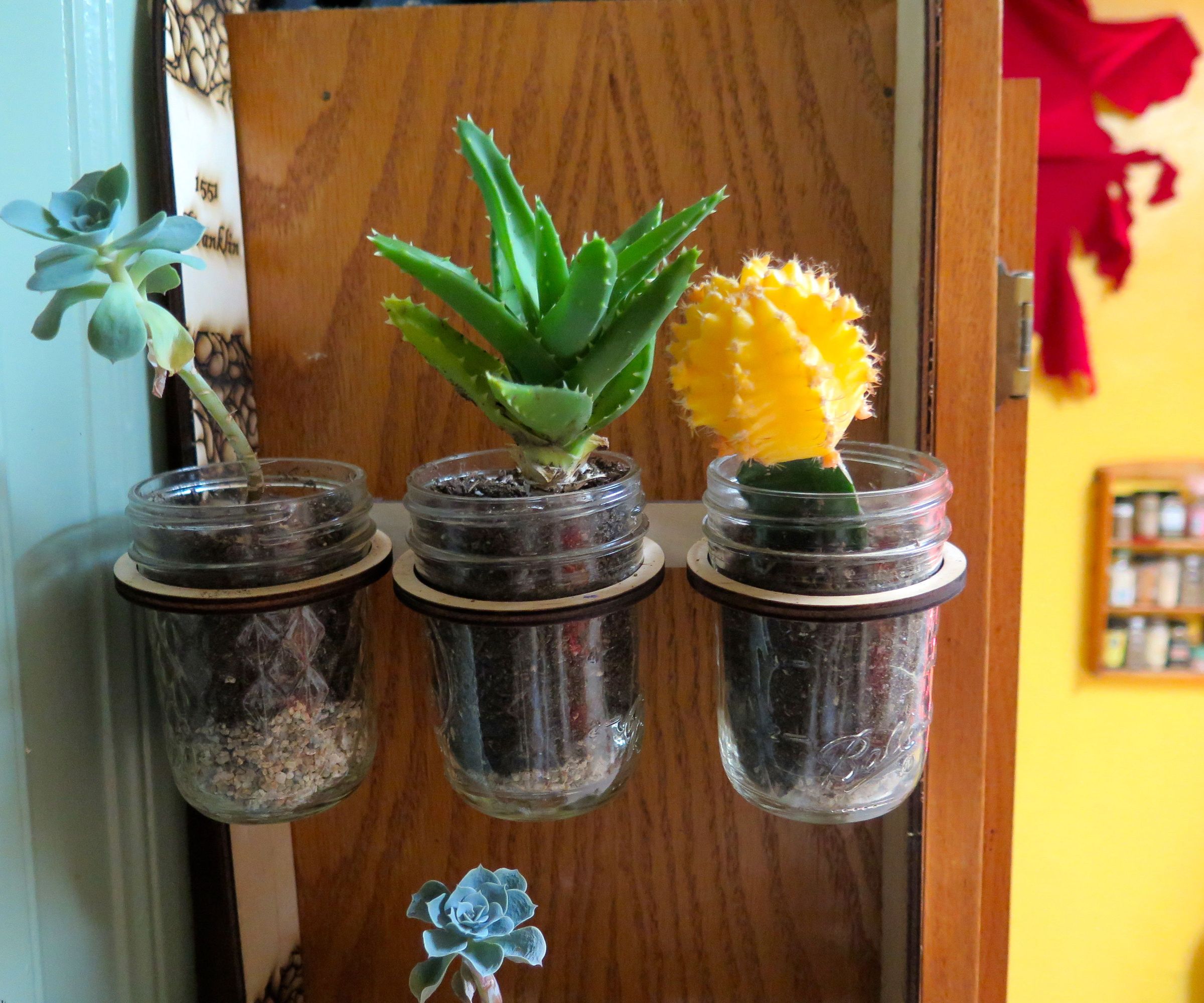 Hanging Mason Jar Gardens