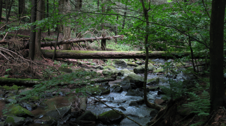 Making Photos More Interesting in the GIMP