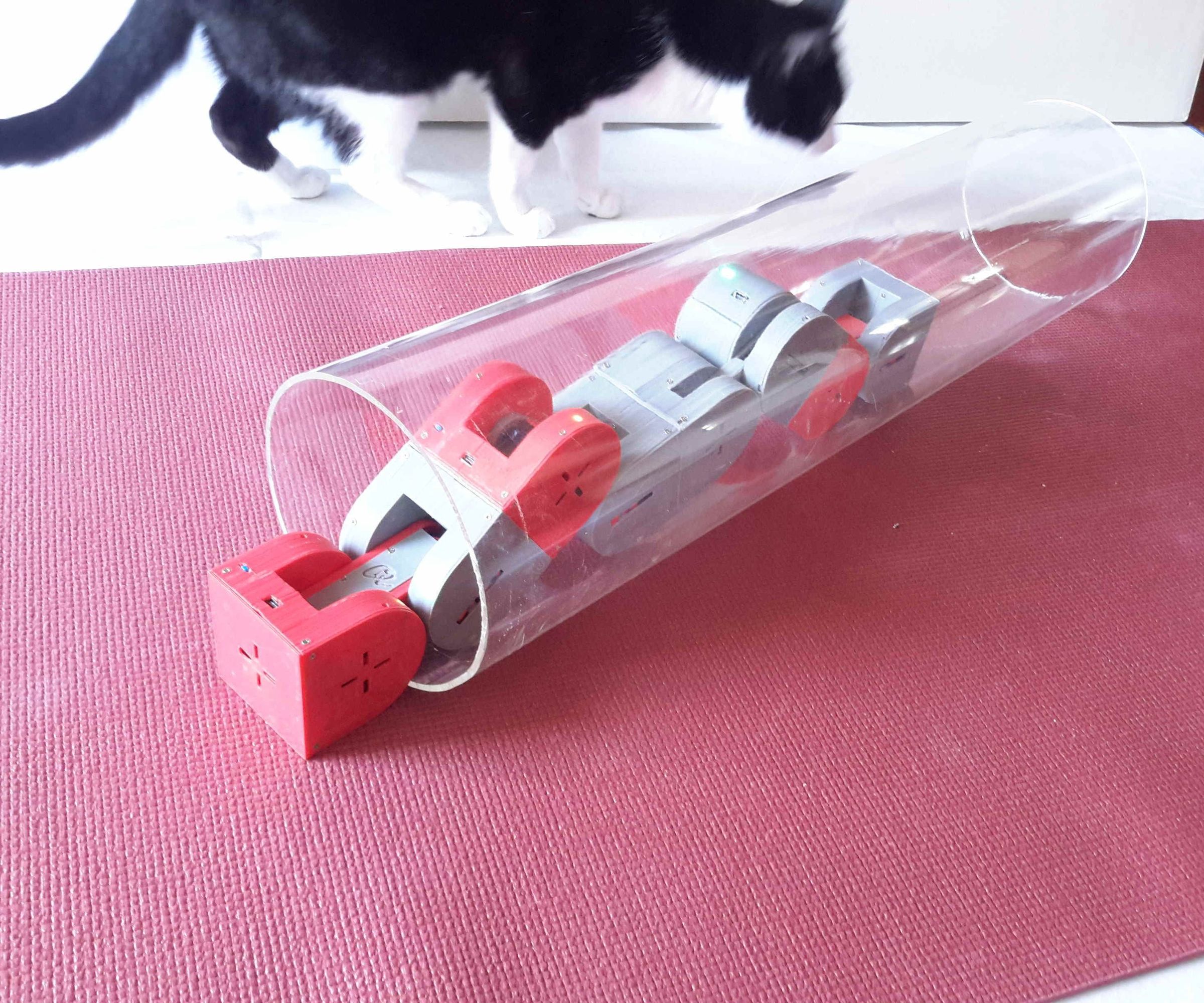 Dtto Modular Robot - Self-reconfigurable Modular Robot